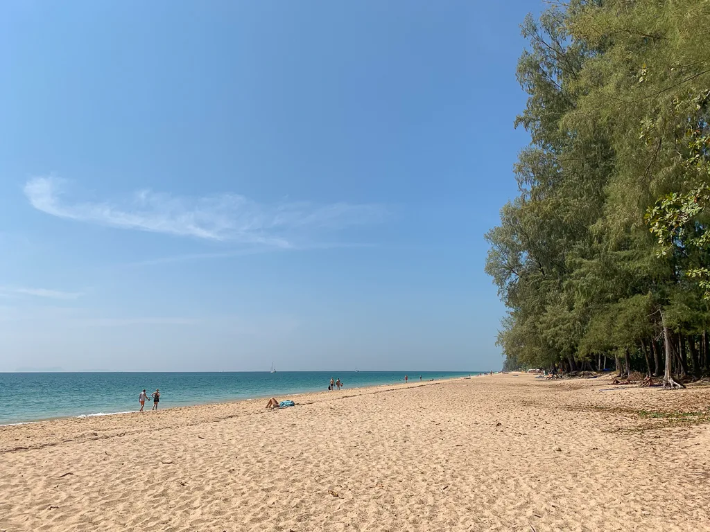 Long Beach view with trees