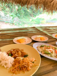 Lunch with elephants